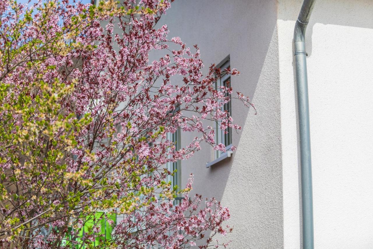 Haus Flora - Ferienwohnungen Cochem Exteriör bild