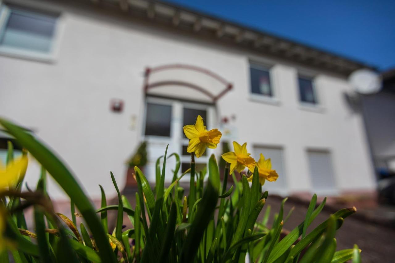 Haus Flora - Ferienwohnungen Cochem Exteriör bild
